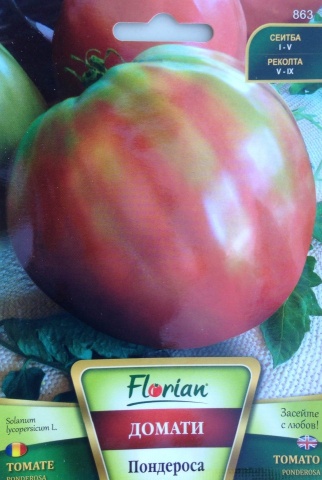 Ponderosa (90 seminte) rosii nedeterminate roz tip beef, fructe mari zemoase, Florian
