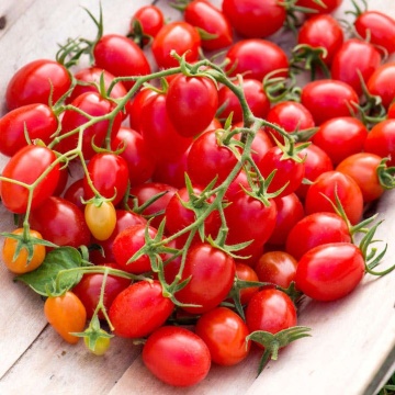 Ramino (10 seminte) tomate semitimpurii determinate, tip cherry alungite, pentru balcoane si terase, Sekluva - Img 2