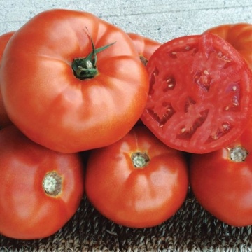 Red Deuce F1 (10 seminte) tomate determinate timpurii, hibrid rezistent la boli, Sekluva - Img 3