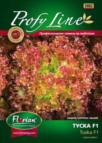 Tuska F1 (50 seminte) salata tip Lollo Rosa cu capatani mari, pline, bine structurate, culoare rosie-visinie, Enza Zaden & Florian
