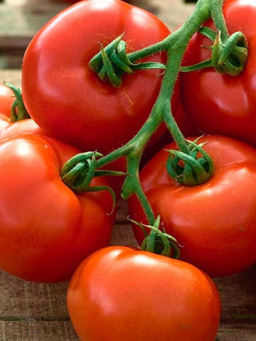 Babinicz (300 seminte) tomate determinate timpurii de culoare rosu intens, forma usor turtita, nervurata, PlantiCo - Img 1
