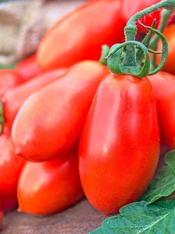 Big Mama F1 (20 seminte) tomate in forma de pruna, carnoase si gustoase, ajung la 280 gr, Toraf
