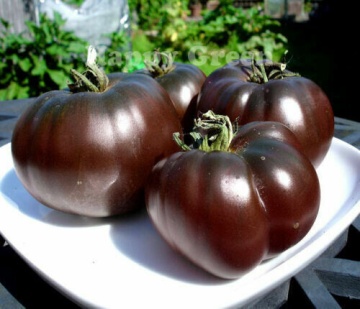 Black Prince (60 seminte) tomate negre mahon inchis, soi stravechi, PlantiCo