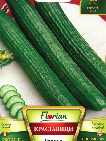 Castraveti Gergana (50 gr) Seminte de Castraveti soi bulgaresc timpuriu Florian Bulgaria - Img 1