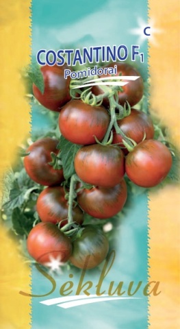 Costantino F1 (10 seminte) rosii maronii hibrid nedeterminat, rezistent la boli, tomate ferme, dulci, Sekluva - Img 3