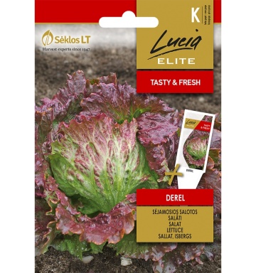 Derel (800 seminte) salata mediu-timpurie tip iceberg, frunze crocante, gustoase, rosu cu verde, Seklos - Img 2
