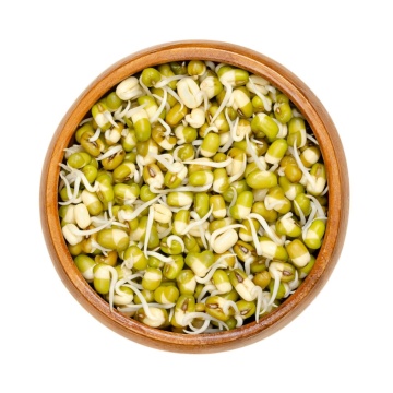 Fasola Mung (250 gr) seminte pentru germeni sau vlastari de fasole Mung, Toraf - Img 2