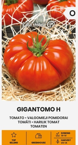 Gigantomo F1 (10 seminte) rosii mari pana la 1 kg tip Beefsteak, carnoase, gust si aroma excelente, Seklos - Img 2