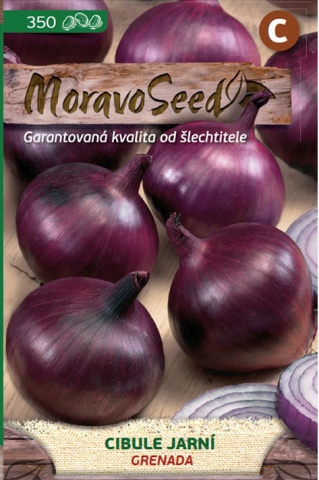 Grenada (100 gr) de seminte de ceapa rosie violet bulbi mari de200 gr, ChemyFarm
