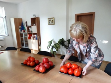 Inima Stacojie (Aleno Sartse) 150 seminte de tomate tip Gigant bulgaresc in forma de inima tip Beef, IZK Bulgaria - Img 5
