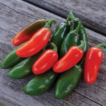 Jalapeno (150 seminte) ardei iute originar din Mexic America Latina, Opal - Img 3