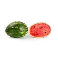 Morgan F1 (1000 seminte) pepene verde tip Crimson Sweet, Rijk Zwaan