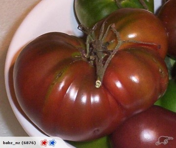 Negre de Tula (Black from Tula) 300 seminte Tomate Negre de Tula Nedeterminate Mari Extratimpurii Soi Deosebit de Gustos - Img 4
