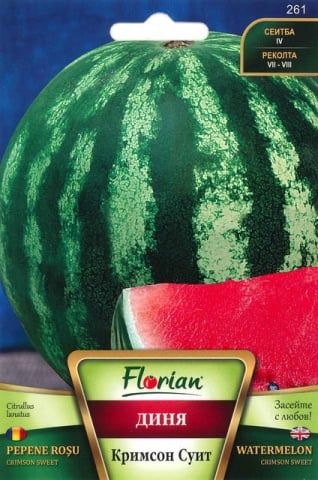 Pepene verde Crimson Sweet (10.000 seminte) soi semitimpuriu coaja dungata, miez zemos, dulce, Florian - Img 2