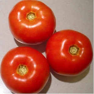 Primadona F1 (500 seminte) Tomate Nedeterminate, Hazera