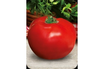 Rosii Bulgarski Trapezen F1 (100 seminte) tomate gust placut, tari, nedeterminate timpurii, Florian - Img 3