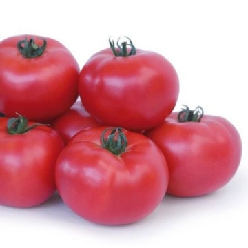 Takado F1 (10 seminte) tomate roz nedeterminate cu randament ridicat, cu o calitate si un gust excelente, KITANO