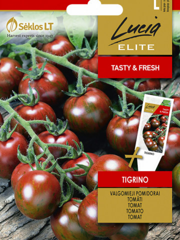 Tigrino (20 seminte) tomate de tip cherry "Tiger", tomate negre, Semo Cehia - Img 1