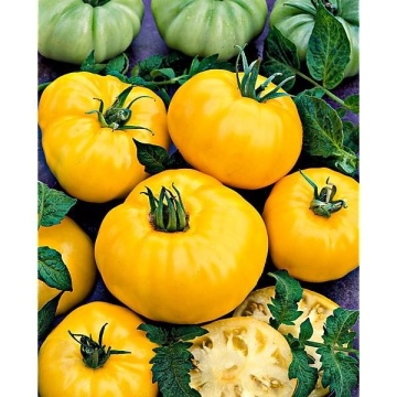 Yellow Donut BIO (35 seminte) tomate galbene determinate, mari, foarte gustoase, ReinSaat