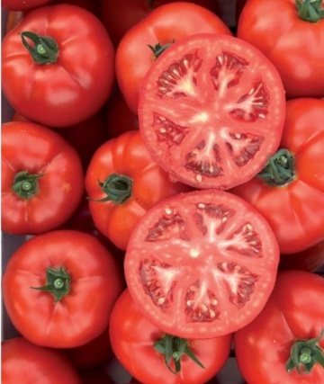 Bellaris F1 (500 seminte) rosii tip beef nedeterminate foarte timpurii, dulci, echilibrate, Enza Zaden