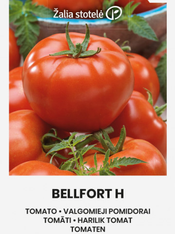 Bellfort F1 (10 seminte) de rosii timpurii nedeterminate, fructe lucioase, carnoase, aromate, Enza Zaden - Img 1