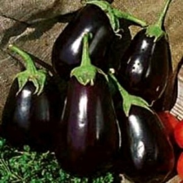 Black Beauty (100 seminte) vinete rotund-ovale, violet-inchis, Seklos - Img 2