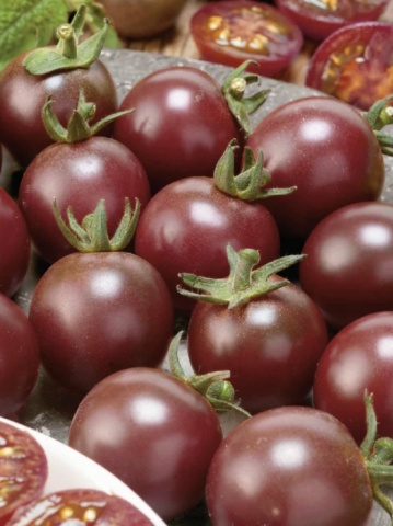 Black Cherry (0.3 gr) tomate cherry negre, soi timpuriu exotic, gust deosebit, Prima Sementi - Img 7