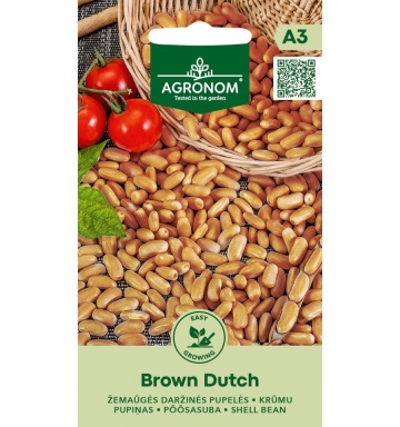 Brown Dutch (8 gr), seminte fasole pitica pentru boabe, soi semi-timpuriu, boabe maronii, Seklos - Img 2