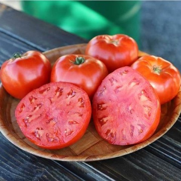 Califfo F1 (10 seminte) tomate nedeterminate timpurii, fructe mari, grase, rezistente, Sekluva
