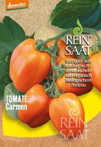 Carmen BIO (35 seminte) tomate portocalii gust dulce-fructat, perfecte pentru ghivece, ReinSaat - Img 3