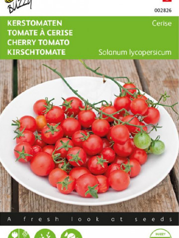 Cerise (60 seminte) tomate cherry nedeterminate, gust foarte dulce, Buzzy - Img 3