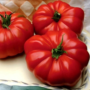 Cosimo F1 (10 seminte) rosii hibrid nedeterminat, rezistent la boli, tomate plate, puternic costate, foarte gustoase, Sekluva - Img 3