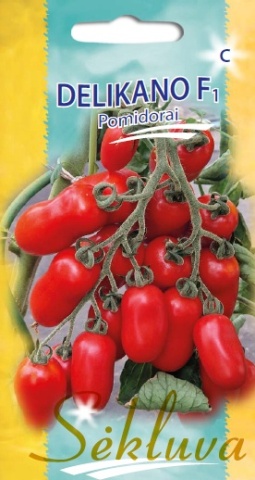 Delikano F1 (10 seminte) tomate extratimpurii mici tip San Marzano, Sekluva - Img 2