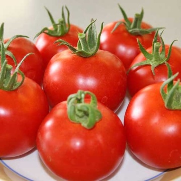 Hellfrucht BIO (50 seminte) tomate timpurii rezistente la crapare, foarte aromate, potrivite si pentru ghivece, ReinSaat - Img 5