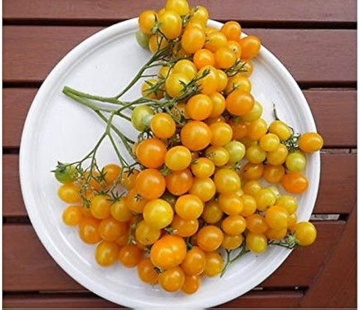 Ildi (60 seminte) tomate cherry galbene dulci, ciorchini numerosi, Seklos - Img 3