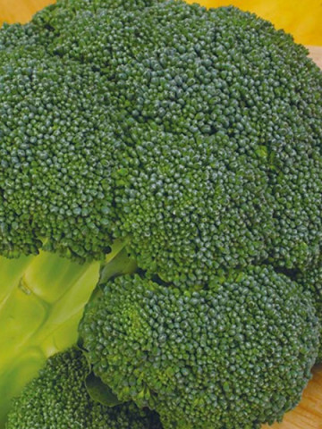 Ironman F1 (1000 seminte) broccoli semitimpuriu, Seminis - Img 1