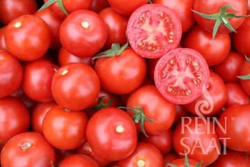 Jani BIO (30 seminte) tomate determinate extra-timpurii, rotund-plate, gust fructat, ReinSaat - Img 6