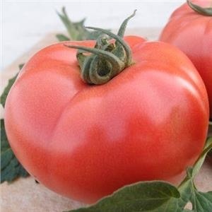 Kwintella F1 (10 seminte) tomate roz carnoase, foarte gustoase, hibrid nedeterminat extra-timpuriu, Sekluva