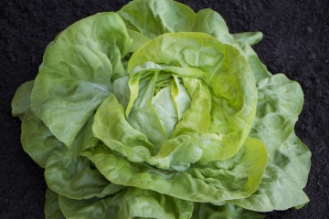 Luceris (5000 seminte) salata tip Malis, Bejo
