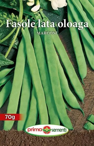 Marconi oloaga (100 gr) seminte fasole pitica cu pastaie verde lata, Prima Sementi - Img 2