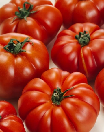 Marmande (60 seminte) rosii traditionale pentru camp, gust delicios, Agronom