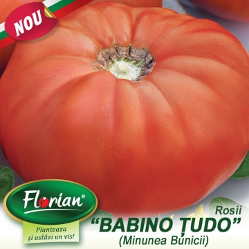Minunea Bunicii - Babino Chudo (150 seminte) rosii tip gigant rosu bulgaresc 1.5 kg, gust de odinioara, Florian - Img 2