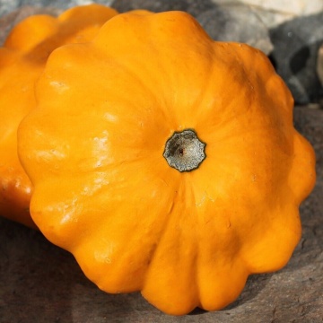 Patisson Orange (12 seminte) dovlecel Patison coaja portocalie, pulpa galbena, foarte gustos, Seklos