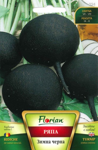 Ridiche Neagra de Iarna - 100 g - Seminte de Ridichi Negre de Iarna Soi Foarte productiv de la Florian