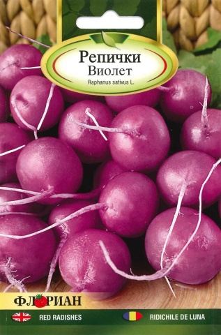 Ridichi de luna VIOLET (Malaga) - 5 gr - Seminte de Ridichi de Luna Violet