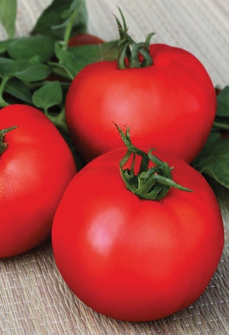 Rosii Bulgarski Trapezen F1 (50 seminte) tomate gust placut, tari, nedeterminate timpurii, Florian - Img 5