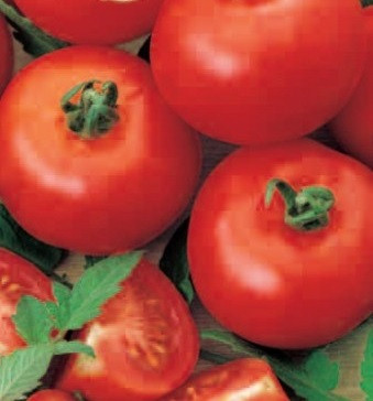 Rosii Buzau 4 (1 kg), seminte de tomate soi timpuriu de camp, SCDL Buzau - Img 2