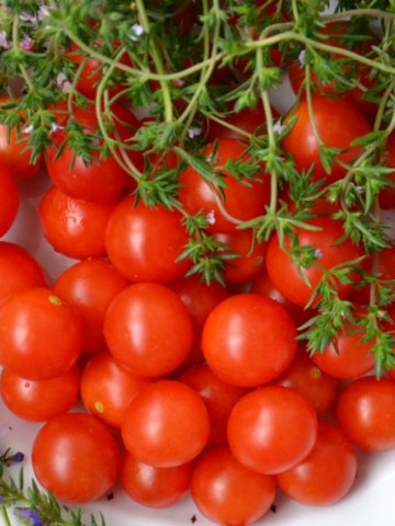 Rosii Cherry rosu - 0.3 gr - Seminte Tomate Soi semitimpuriu tip Cherry Florian Bulgaria - Img 3