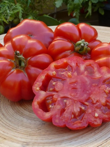 Rosii Costoluto Fiorentino (0.2 gr), seminte tomate crete soi foarte productiv, Florian Bulgaria - Img 3