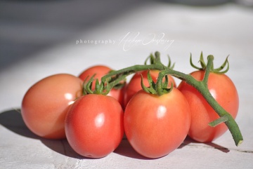 Rosii Pink Thai Egg (60 seminte) tomate roz tip cherry mari in forma de ou, Florian